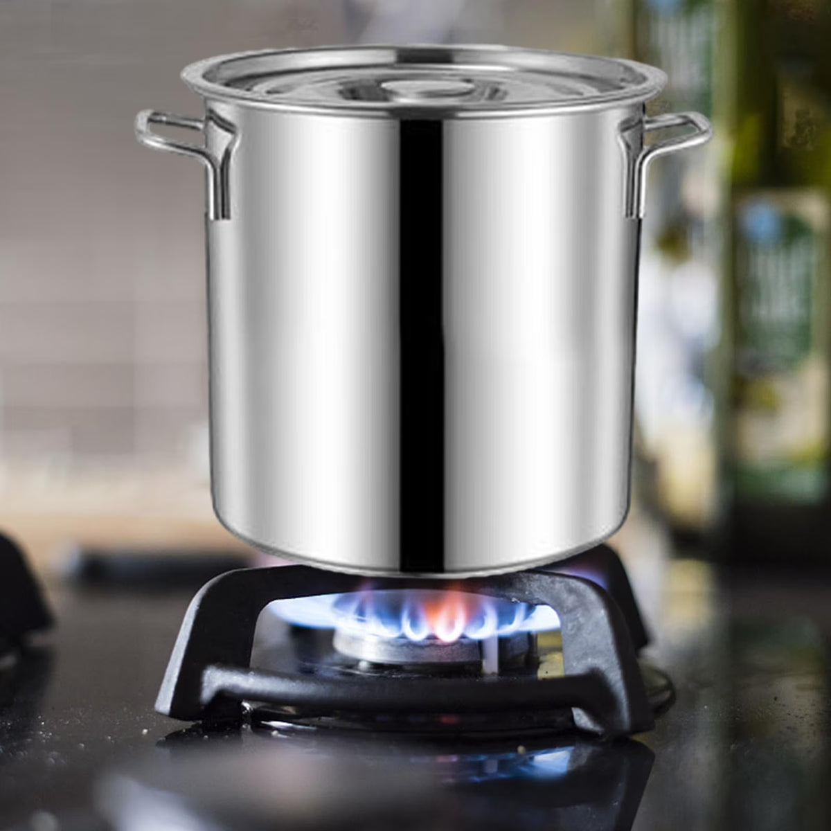 10L Stockpot with Lid Cookware S6919