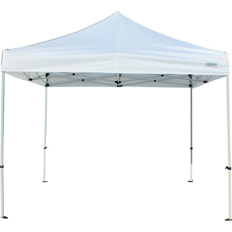 10 ft. W x 10 ft. D Canopy B96484