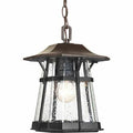 1-Light Casual Hanging Lantern P5946