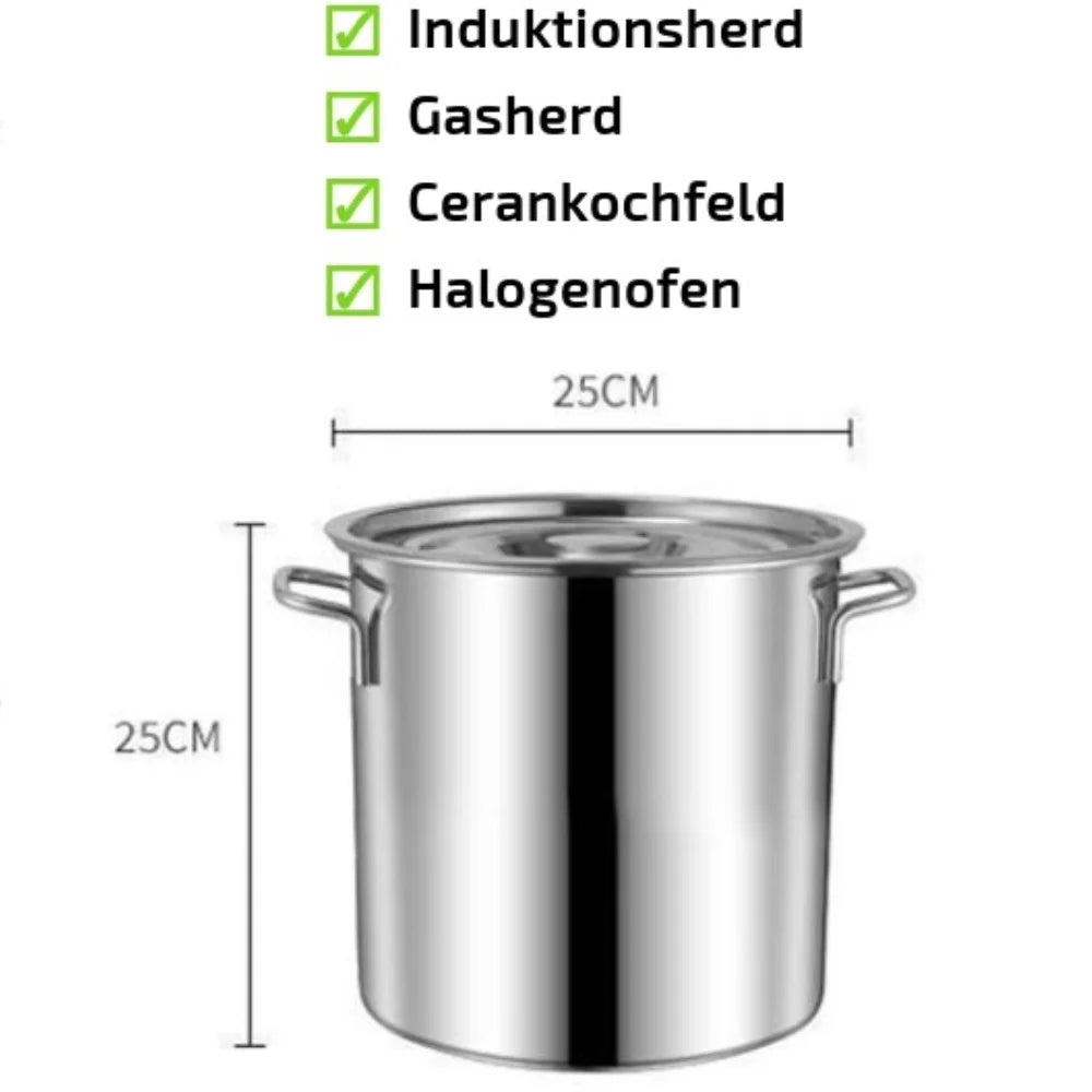 10L Stockpot with Lid Cookware S6919
