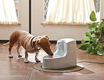1.2 Litre Pet Fountain T459812
